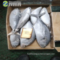 Frozen Strip Bonito Fish  for Sale